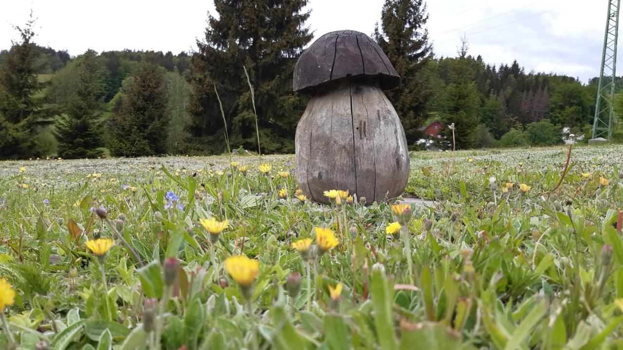 U Tomicku Hotel Paseky nad Jizerou Exterior foto