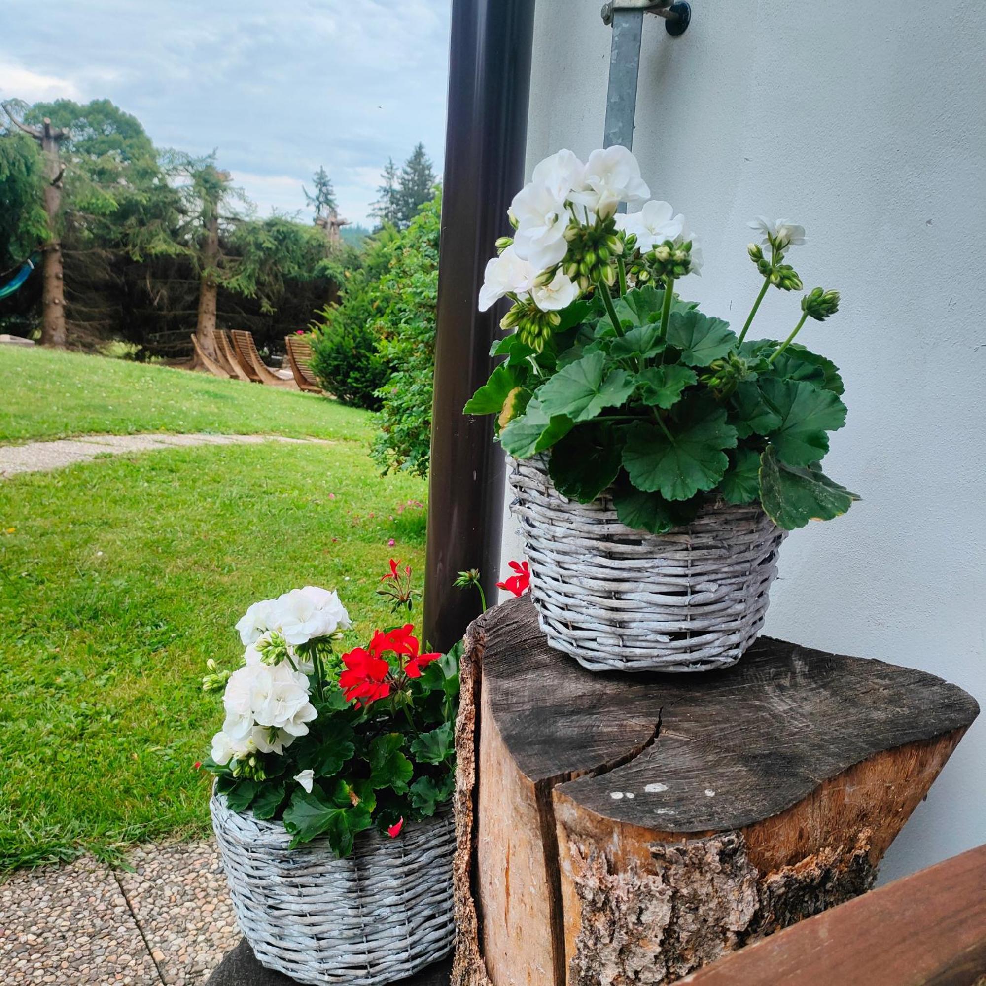 U Tomicku Hotel Paseky nad Jizerou Exterior foto